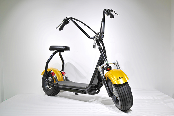 貴陽(yáng)電動(dòng)車